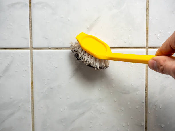 Best Residential Mold Removal  in Penhook, VA