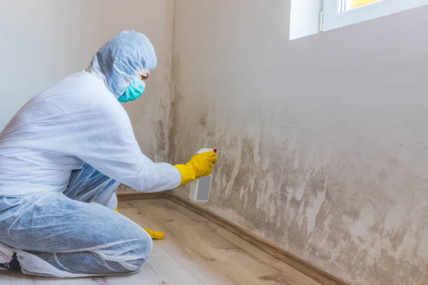Best Mold Removal Process  in Penhook, VA