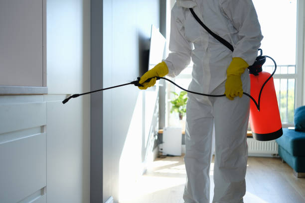 Best Crawl Space Mold Removal  in Penhook, VA