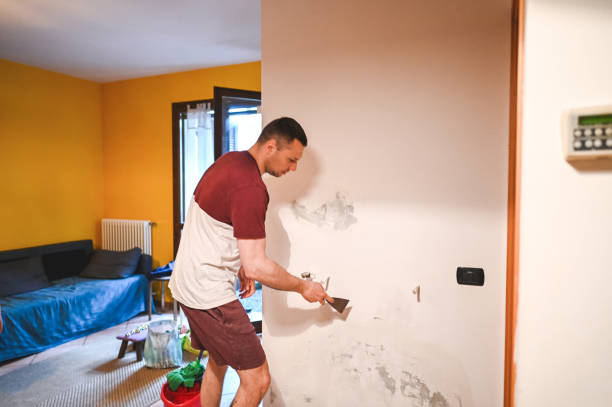 Mold Removal Process in Penhook, VA